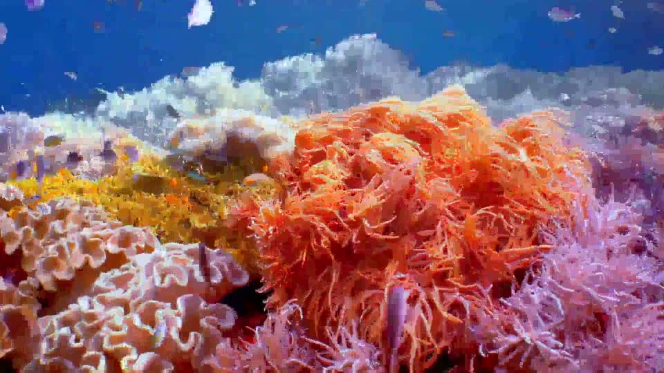 أعماق: الحلقة 16