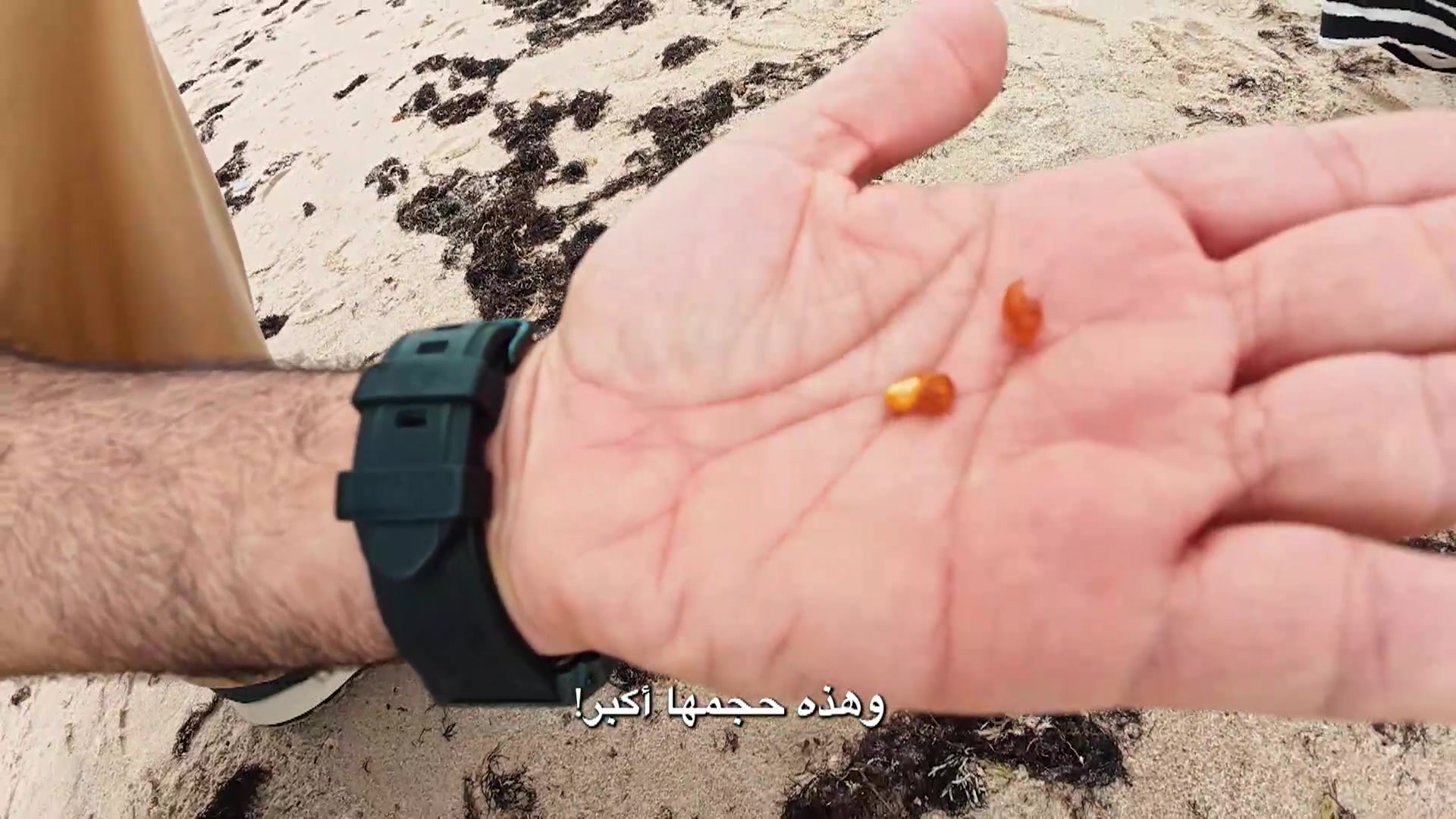 لاتفيا - الجزء الثاني