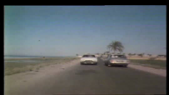 الحلقة 15 و الأخيرة