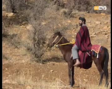 الحلقة 11 (شرف العائلة)