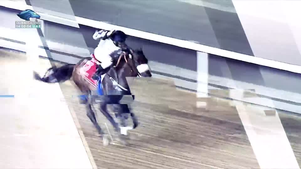 Race Card: 06\01\2022