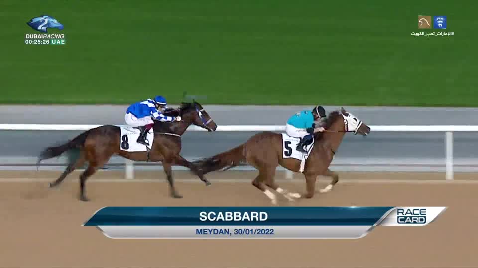 Race Card: 24\02\2022