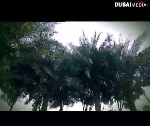 سنة أولى مطبخ:المعجنات وأنواع الدقيق والخميرة