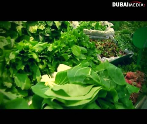 سنةا اولى مطبخ:ورقيات ودجاج مقلي وروستو