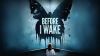 Before I Wake