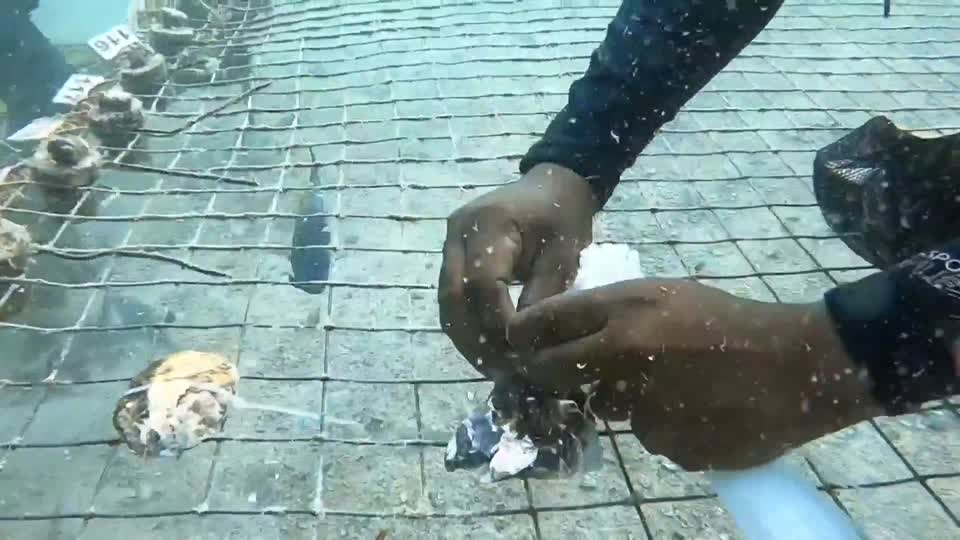 قيم: الصناعة في دولة الامارات - الاستمطار و الأمن الغذائي