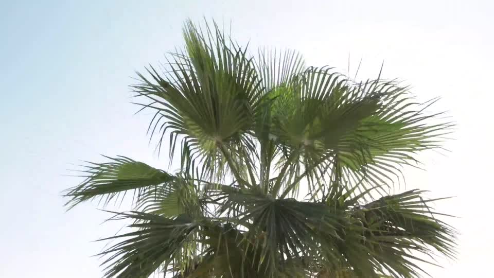 قيم: قيمة تقدير الأعمال الصعبة