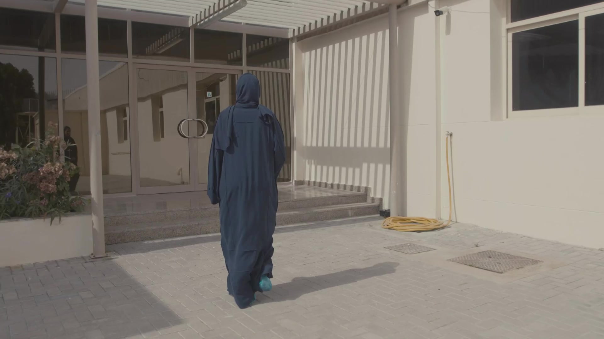 الهجن