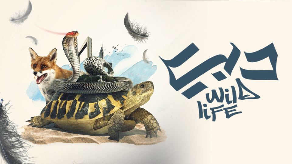 الحياة البرية في دبي