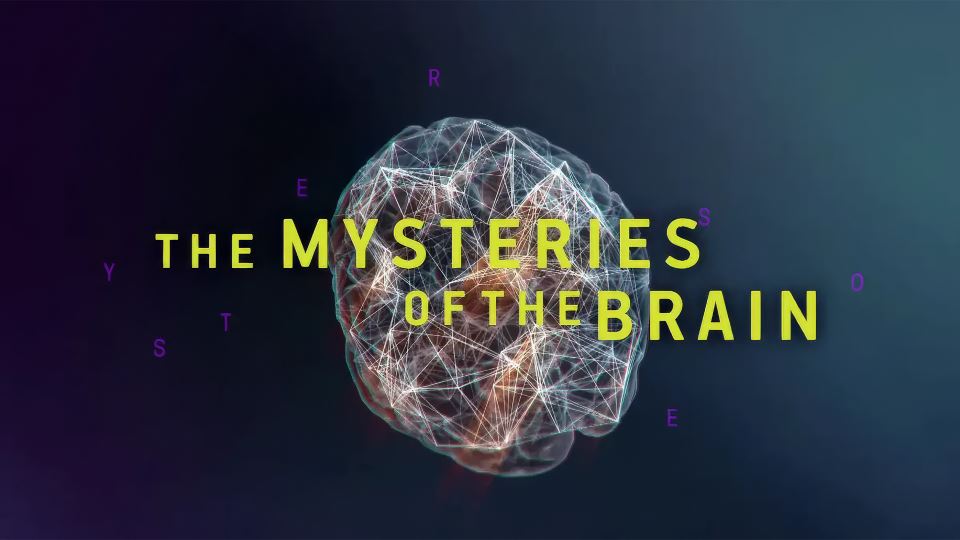 The Mysteries Of The Brain