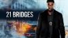21 Bridges